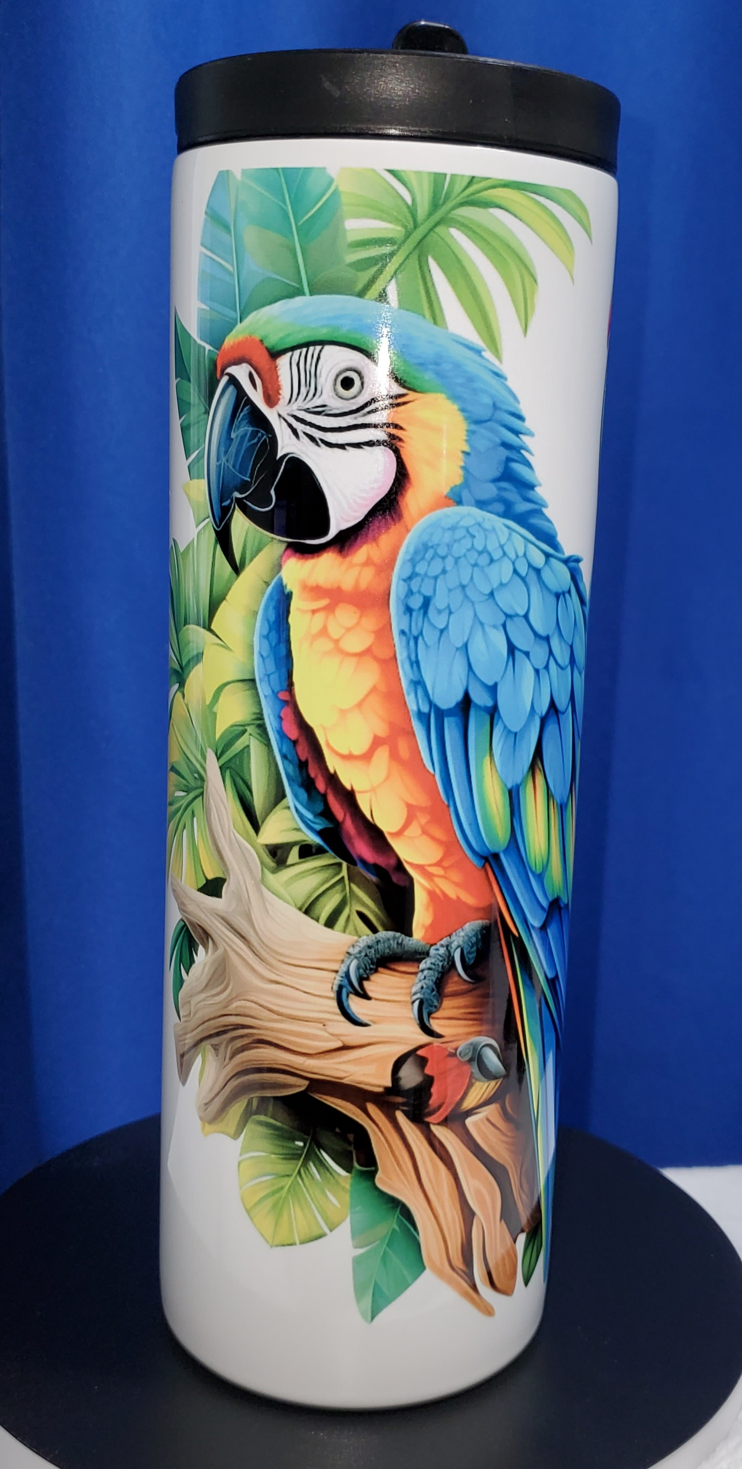 3D Macaw 20 oz Sports tumbler